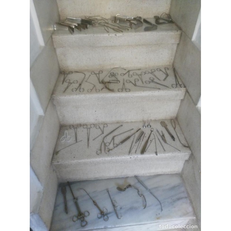 VETERINARIA-87 INSTRUMENTOS DE VETERINARIA.