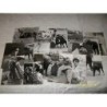 REPORTAJE FOTOGRAFICO DE TOREROS .76 FOTOGRAFIAS.