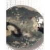 FORENINGEN TIL SKI-IDRETTENS FREMME 1883-PIN ESMALTADO-PLATA LEY.