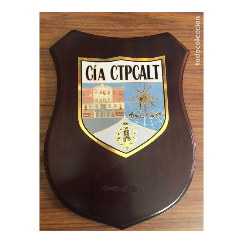 CIA CTPCALT-REGIMIENTO TRANSMISIONES-METOPA MILITAR.