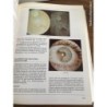 OFTALMOLOGIA-PROTESIS OCULARES Y CIRUGÍA RECONSTRUCTIVA DE CAVIDADES-EDITA PRENSA HISPANOAMERICANA.