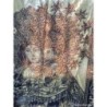 ROCAFORT-VIRGEN DE LOS DESAMPARADOS-TAPIZ-AÑO 2005