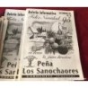 CARDENETE-CUENCA-13 PROGRAMAS DE FESTEJOS-BOLETIN INFORMATIVO DE LOS SANACHORES- 10 NUMEROS.