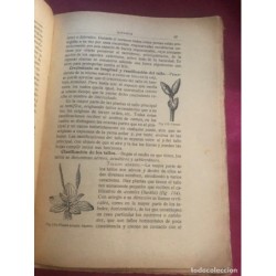 BOTANICA-CURSO ELEMENTAL DE HISTORIA NATURAL-ORESTES CENDRERO-SANTANDER-AÑO 1916.