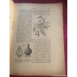 BOTANICA-CURSO ELEMENTAL DE HISTORIA NATURAL-ORESTES CENDRERO-SANTANDER-AÑO 1916.