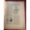 BOTANICA-CURSO ELEMENTAL DE HISTORIA NATURAL-ORESTES CENDRERO-SANTANDER-AÑO 1916.