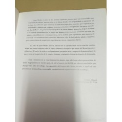 JUAN MUÑOZ. CONVERSACIONES. IVAM AÑO 1992