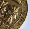 MEDAGLIA Accademia Nazionale Scienze Lettere e Arti DI PALERMO-MEDALLA.