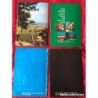 LIBROS FIESTAS PATRONALES DENIA-AÑOS 1975 1976 1980 1981.
