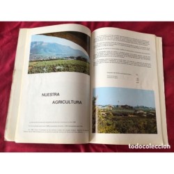 LIBROS FIESTAS PATRONALES DENIA-AÑOS 1975 1976 1980 1981.