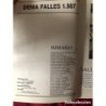 FALLAS VALENCIA-FALLAS DENIA-FALLES DENIA-LIBROS DE FALLAS-LLIBRETS FALLES 1979 1981 1985 1987 2000