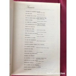 OSUNA-LIBROS DE FIESTAS-FERIA GRANDE DE OSUNA 1973 1974-1975.