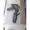 DEGAS- GALERIE DESTAMPES-LITOGRAFIAS ORIGINALES. LES EDITIONS BRAUN-PARIS