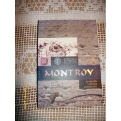 MONTROY: GEOGRAFÍA, HISTORIA,PATRIMONIO