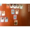 68 CROMOS-CAMPEONATO NACIONAL DE FUTBOL 1976/77 RUIZ ROMERO -DESPEGADOS.