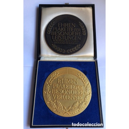 2 medallas de honor por servicios especiales HESSEN- Ehrenplakette für besondere Verdienste,Hessen.