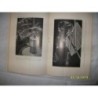 NUEVAS MATERIAS PRIMAS ALEMANAS EL POTENCIAL ECONOMICO DEL REICH 1941 ORIGINAL