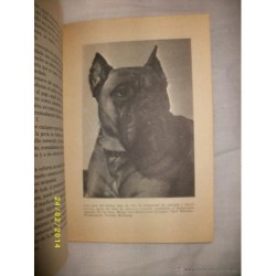 EL BOXER