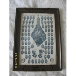 LA UNIÓN MUSICAL VALENCIA AÑO 1909 FOTOGRABADO AÑON