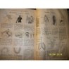 LECCIONES DE COSAS EN 650 GRABADOS 1929