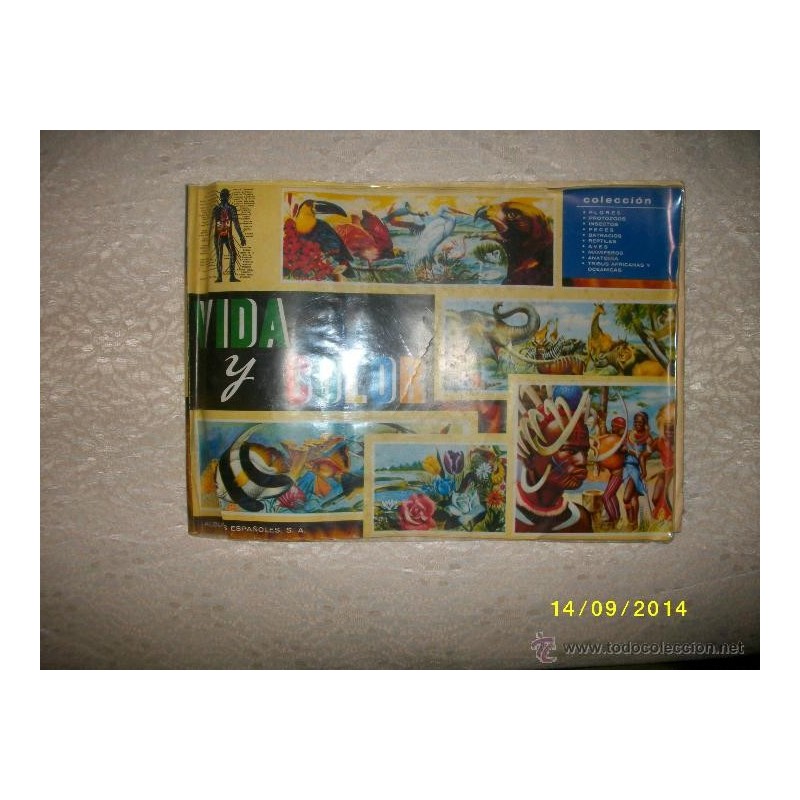 VIDA Y COLOR ALBUM 1965