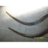 HOCES O CORBERLLAS ANTIGUAS DE SEGAR NO CUMUNES