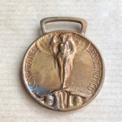 GUERRA PER L'UNITA D'ITALIA 1915-1918. PRIMERA GUERRA MUNDIAL. MEDALLA.