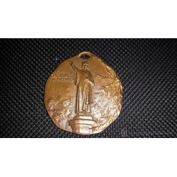 7ª ARMATA CONMEMORATIVA 1915-1918 -WW1- BRONCE- ITALIA-MEDALLA.