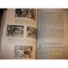 TOROS Y TOREROS EN 1943 Y 1944 RESUMEN ESTADISTICO Y APRECIACION CRITICA DE DICHAS TEMPORADAS