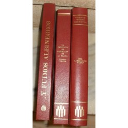 CASTELLON 3 LIBROS CAJA DE AHORROS Y MONTE DE PIEDAD CASTELLON