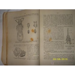 TRATADO PRACTICO DE VITICULTURA Y ENOLOGIA ESPAÑOLAS- TOMO I -1942