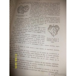 TRATADO PRACTICO DE VITICULTURA Y ENOLOGIA ESPAÑOLAS- TOMO I -1942