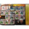 ÁLBUM CROMOS DE FÚTBOL ESTE 2006-2007