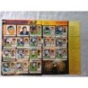 ÁLBUM CROMOS DE FÚTBOL ESTE 2006-2007