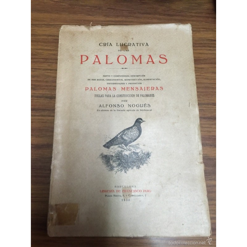 CRÍA LUCRATIVA DE LAS PALOMAS. AÑO 1930.