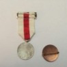 CRUZ ROJA ESPAÑOLA-MEDALLA Y PIN A LA CONSTANCIA. FIESTA DE LA BANDERITA.