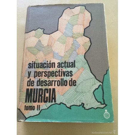 SITUACIÓN ACTUAL Y PERSPECTIVAS DE MURCIA. TOMO II.