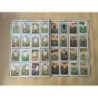 CAMPEONATO DE LIGA 1971-72. EDITORIAL FHER. CROMOS COMPLETO A FALTA DE 3 PEGATINAS POSTER CENTRAL.