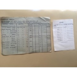 FALANGE ESPAÑOLA. SERVICIO SOCIAL-RECIBOS, CUOTAS, TARJETAS Y DOCUMENTOS. AÑOS 40.