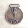 GUERRA PER L'UNITA D'ITALIA. 1915-1918. BRONCE. MEDALLA. MEDAGLIA.