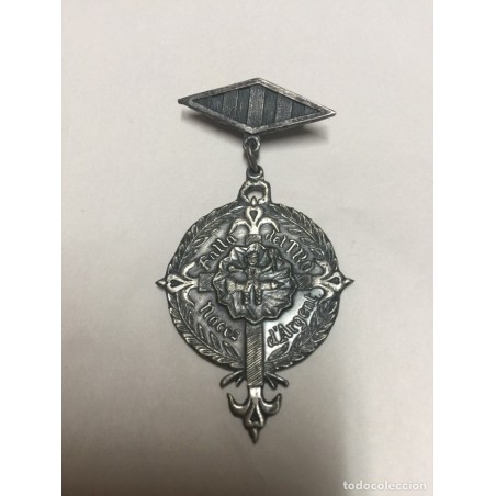 VALENCIA. FALLA DEL TRO. PIN. MEDALLA. CONMEMORATIVA. AÑO 1975.