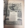 ALBUM POETICO.COLECCIÓN DE COMPOSICIONES INEDITAS DE LOS MAS NOTABLES ESCRITORES DE ESPAÑA.AÑO 1890