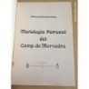SAGUNTO. MARIOLOGIA PATRONAL DEL CAMP DE MORVEDRE. ANDRES DE SALES FERRIO CHULIO.