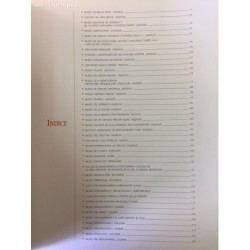 MUSEOS VIVOS. ALICANTE,VALENCIA Y PROVINCIAS. 2 LIBROS.