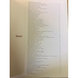 MUSEOS VIVOS. ALICANTE,VALENCIA Y PROVINCIAS. 2 LIBROS.