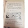 ENCICLOPEDIA DE LA ENSEÑANZA PRIMARIA. GRADO SEGUNDO 1955-TEXTOS E. P. ED. BIBLIOGRÁFICA ESPAÑOLA.