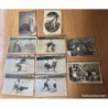 TOROS-TAUROMAQUIA-CARTOFILIA- REPORTAJE GRAFICO DE 10 POSTALES ANTIGUAS.