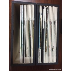 INVESTIGACIÓN Y CIENCIA. 22 REVISTAS.