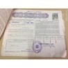 ACCIONES DE LA COMPAÑIA ESPAÑOLA DE PETROLEOS S.A. -10 HOJAS. VARIOS TITULOS. AÑOS 1957-1970.