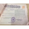 ACCIONES DE LA COMPAÑIA ESPAÑOLA DE PETROLEOS S.A. -10 HOJAS. VARIOS TITULOS. AÑOS 1957-1970.